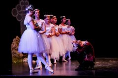 Giselle_2017_49