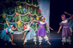 Nutcracker-2pm-Show-27-of-517