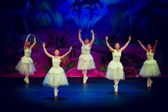 Nutcracker-2pm-Show-462-of-517