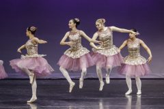 Princess_2017_17
