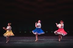Show1-495